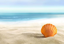 英國修訂玩具法規