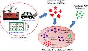 歐盟POPS認證法規下設定六氯苯限量